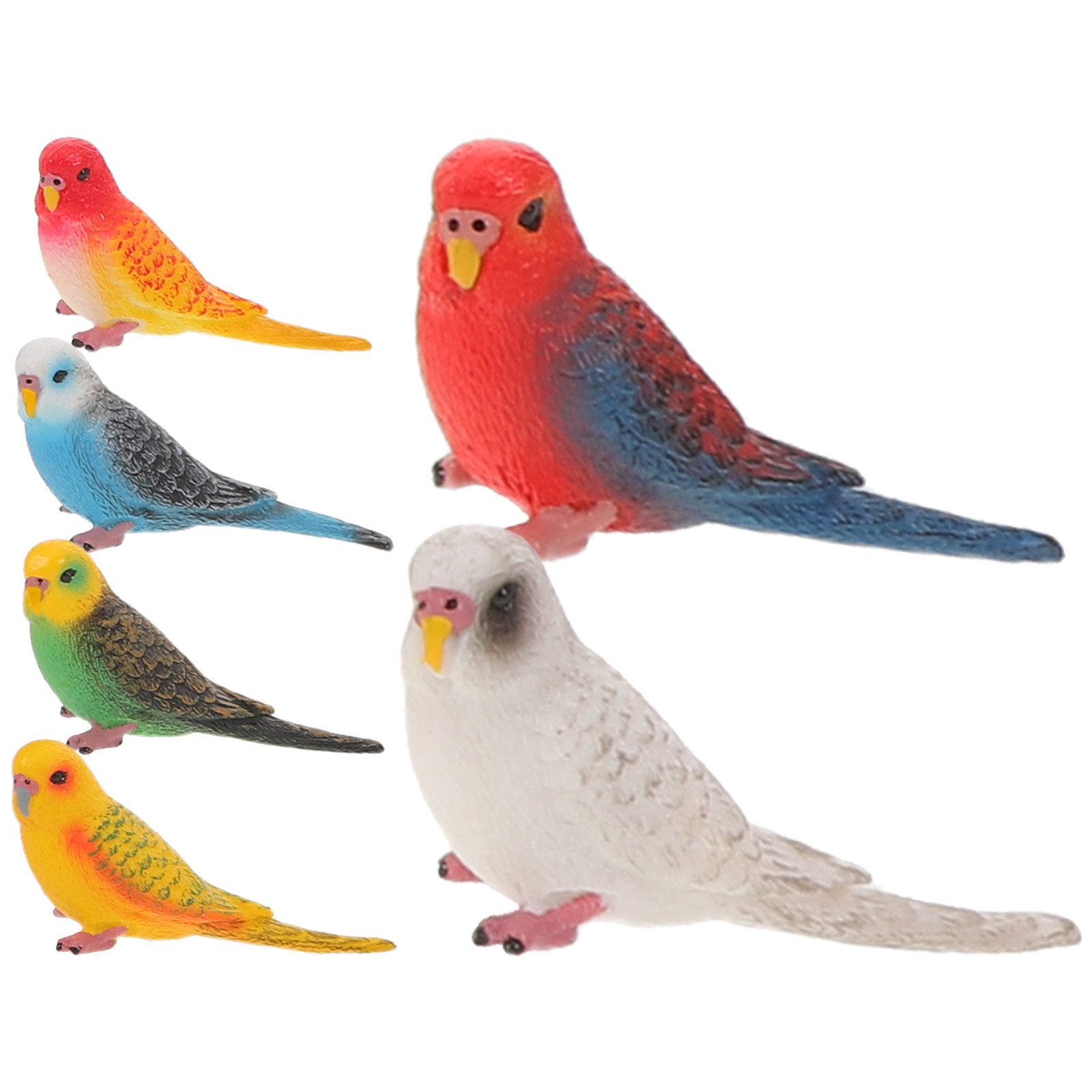 Kids Education Room - 6 Buah Burung Beo Plastik Realistis
