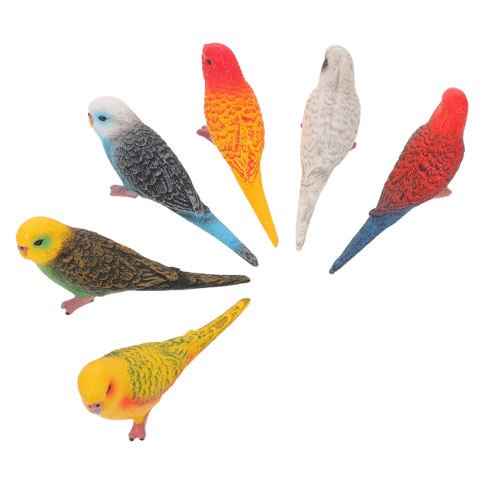 6 Buah Burung Beo Plastik Real - Kids Education Room ulasan dan harga