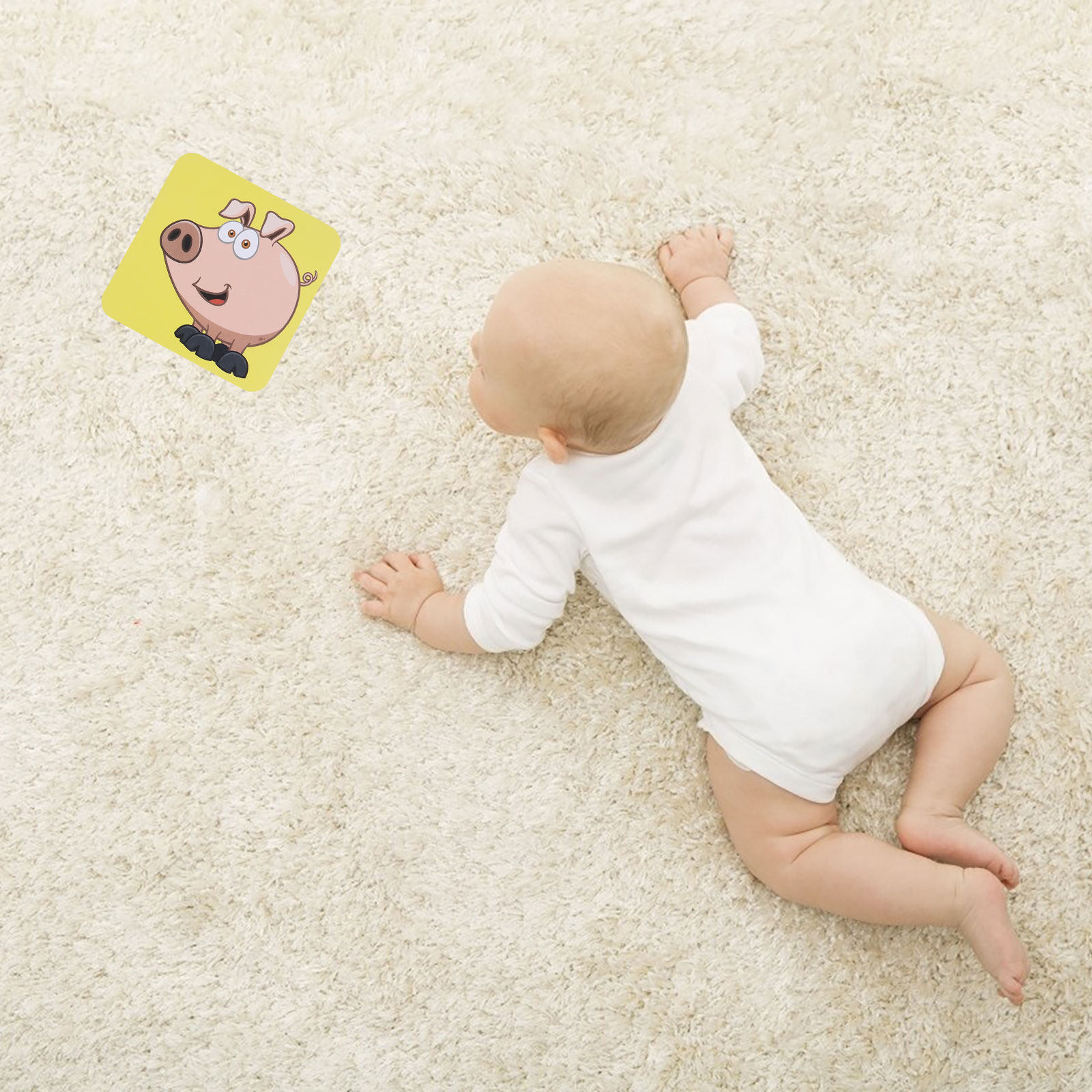 Kartu Stimulasi Visual Pengena - Kids Education Fun ulasan dan harga
